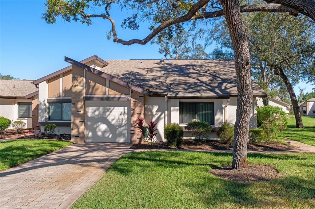 a view of a house with yard and a tree