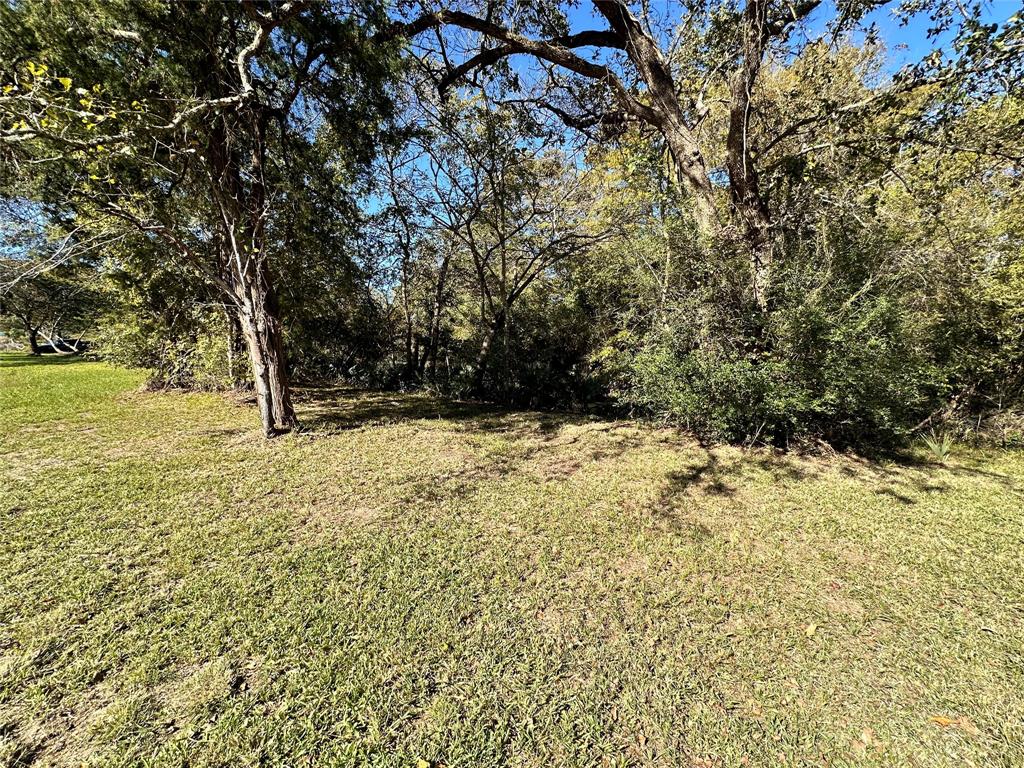 a view of outdoor space and yard