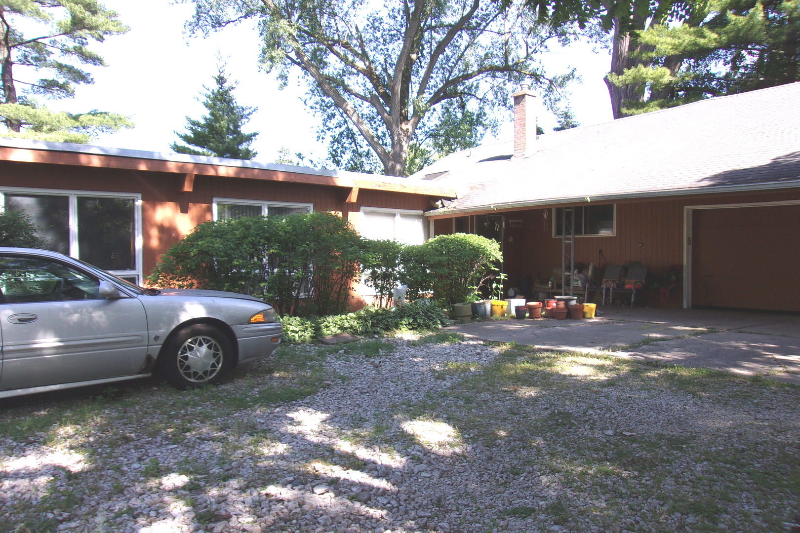 a view of a yard with a tree in front of it