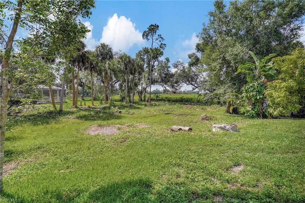 a backyard of a house with lots of green space