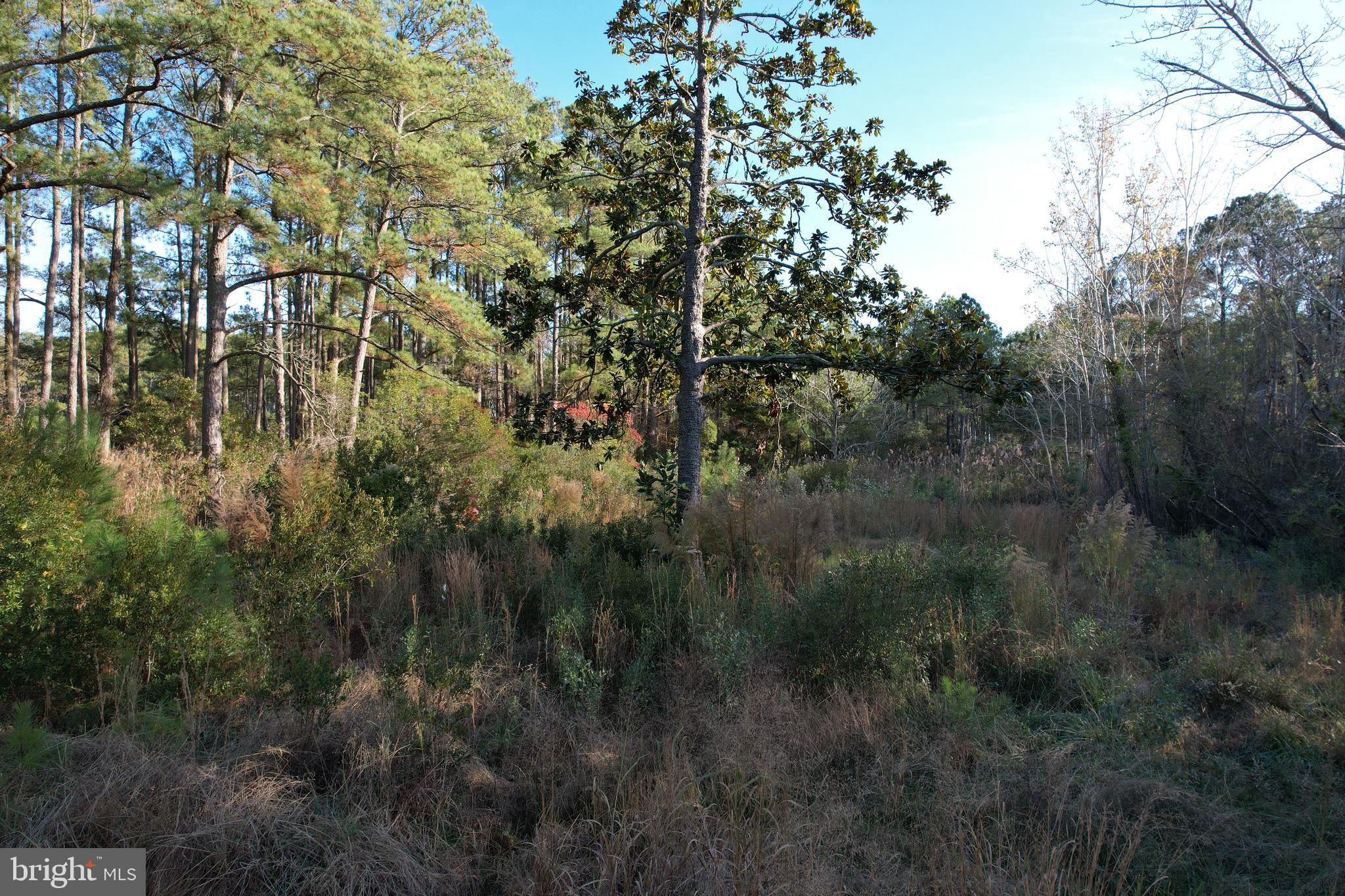 a view of a lake and green space