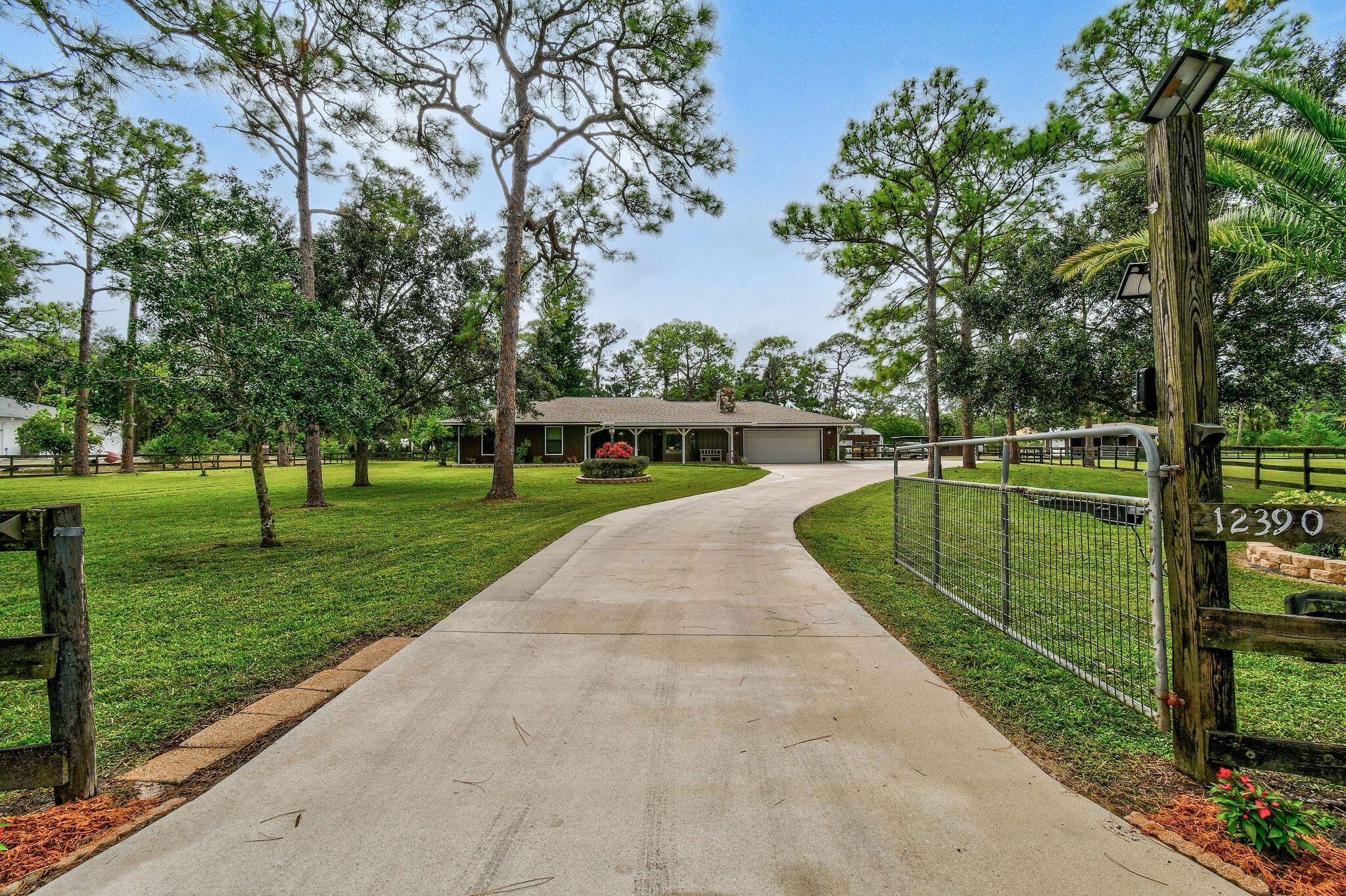 a view of a park with large trees