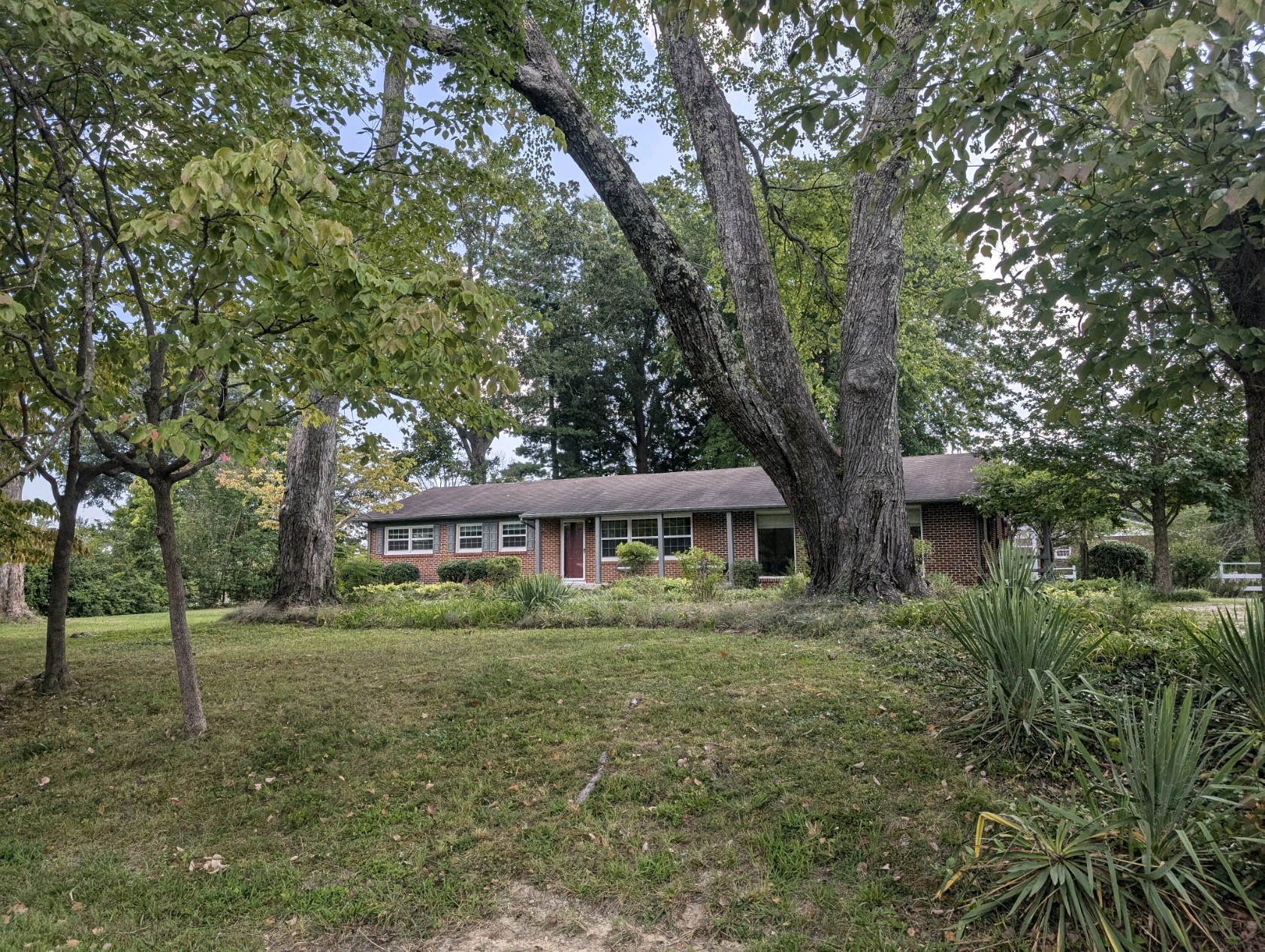 a house that has a tree in it