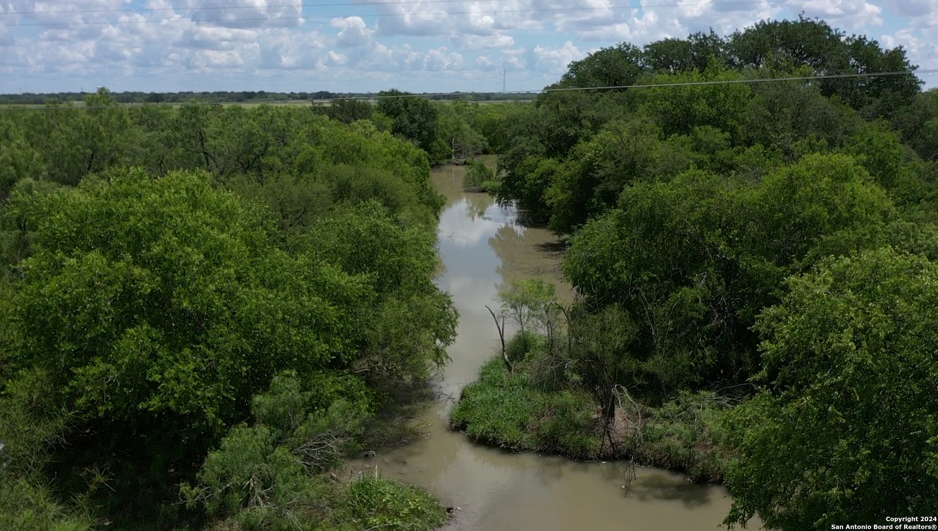 a view of a lake with large trees