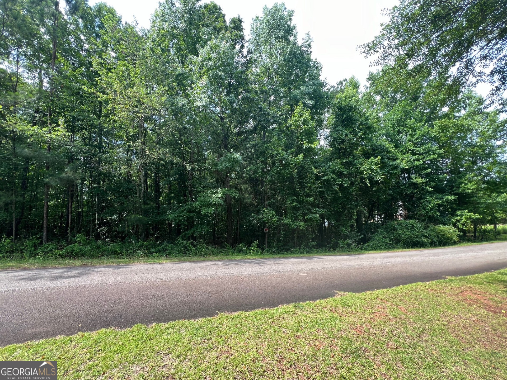 a view of backyard with green space