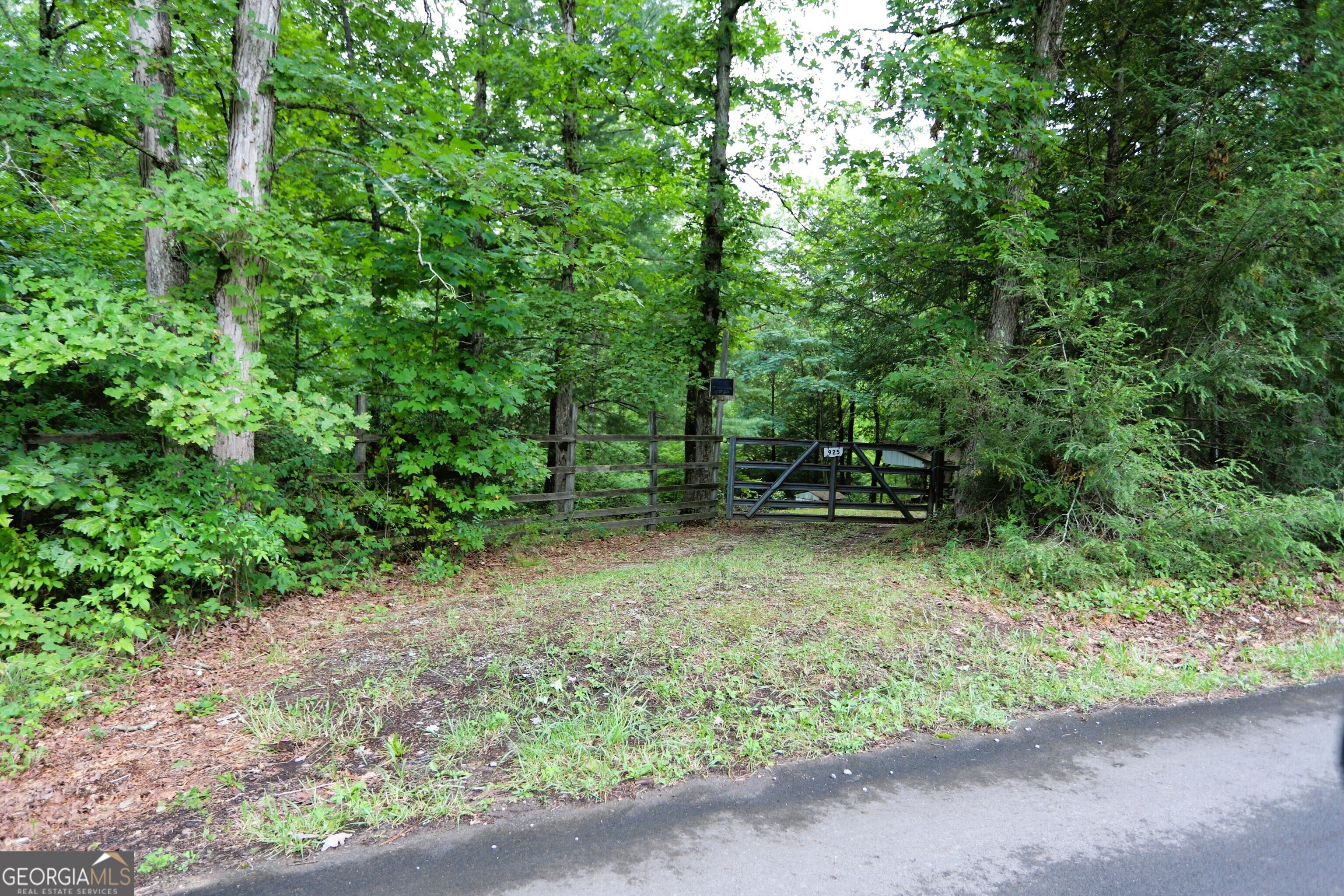 a view of outdoor space and yard