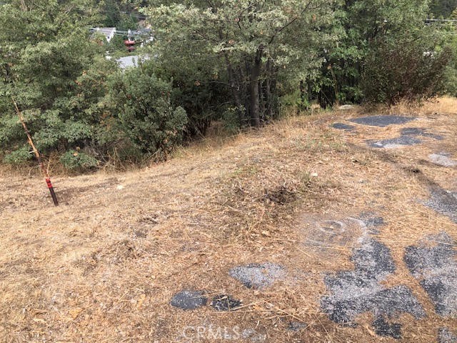 a view of a yard with a tree