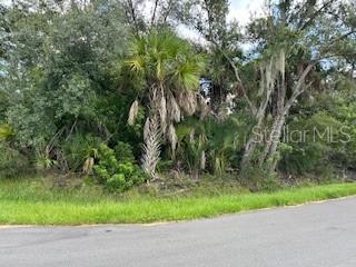 a view of a yard and a trees