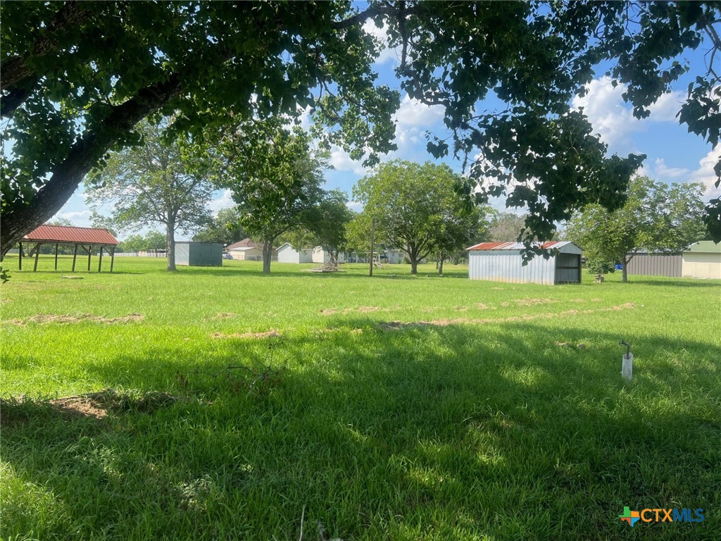 a view of a park with large trees