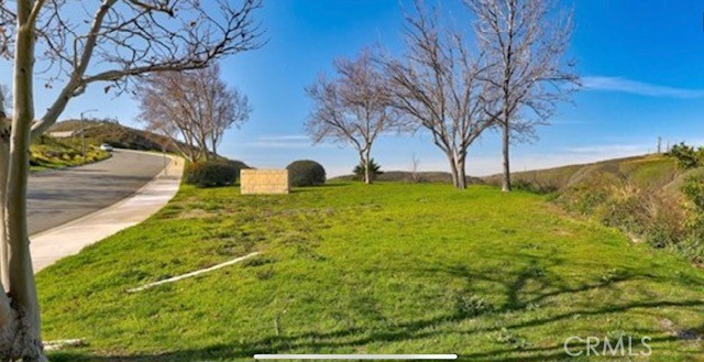 a view of yard with large tree