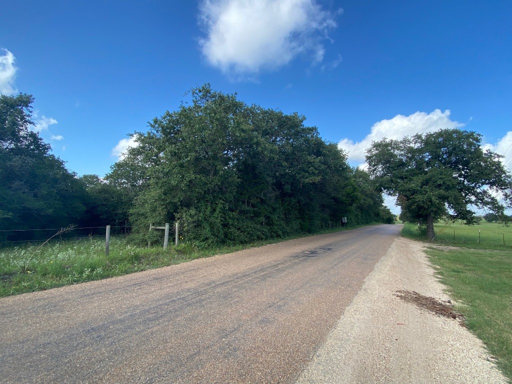 a view of a road with a yard