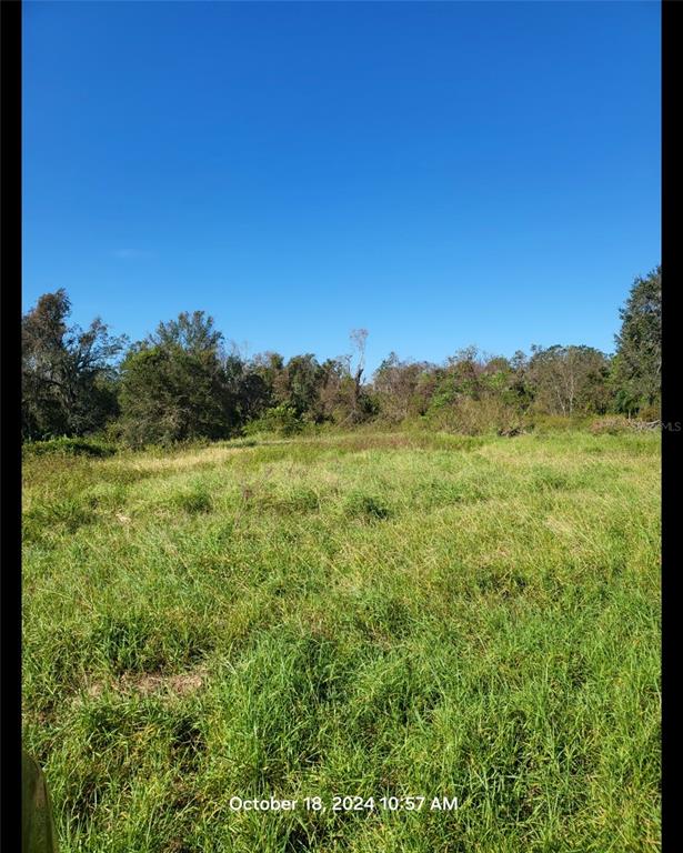 a view of a field with an trees in the background