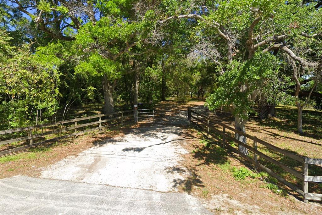 a view of a yard with trees