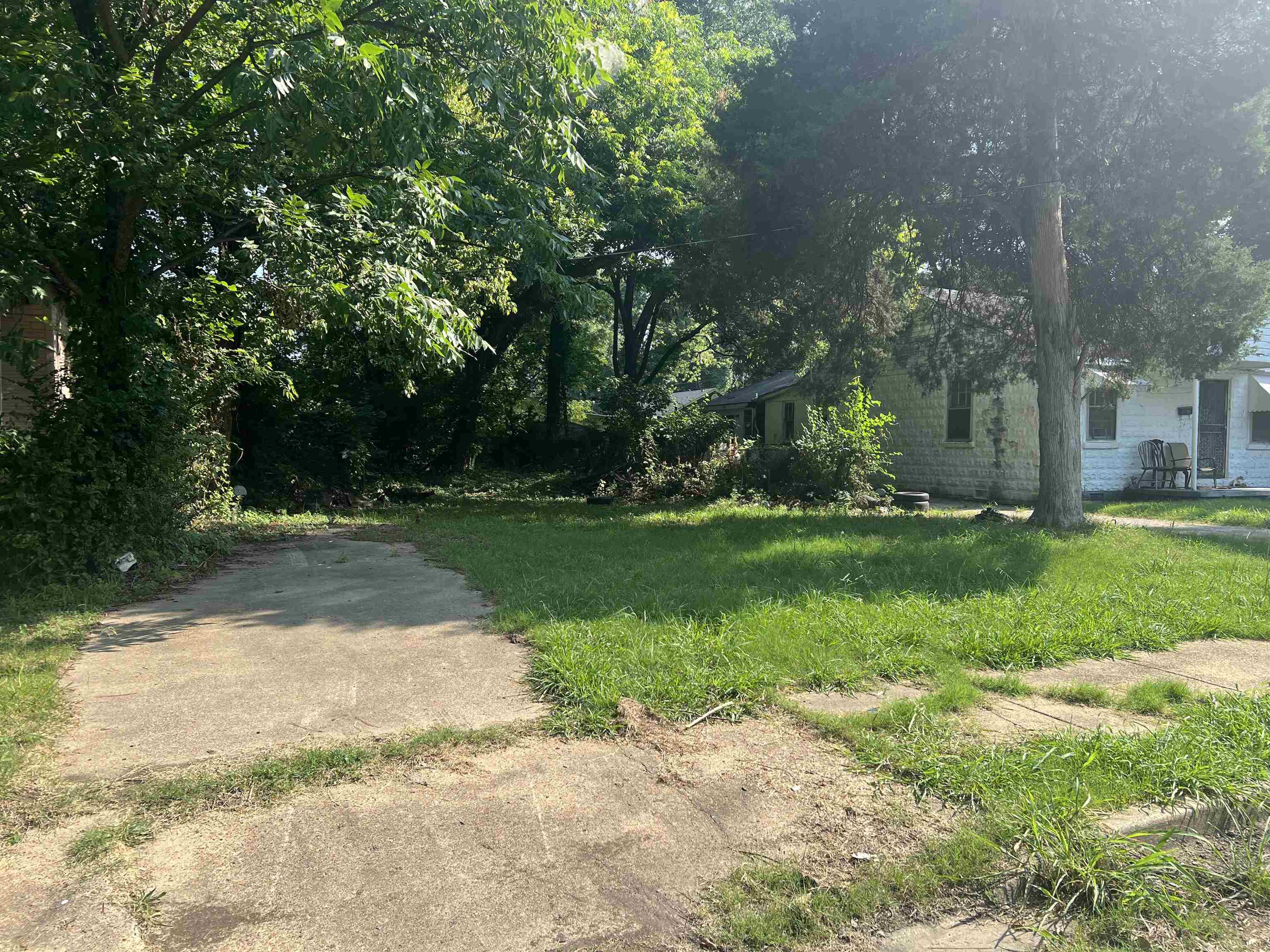 a view of a park with large trees