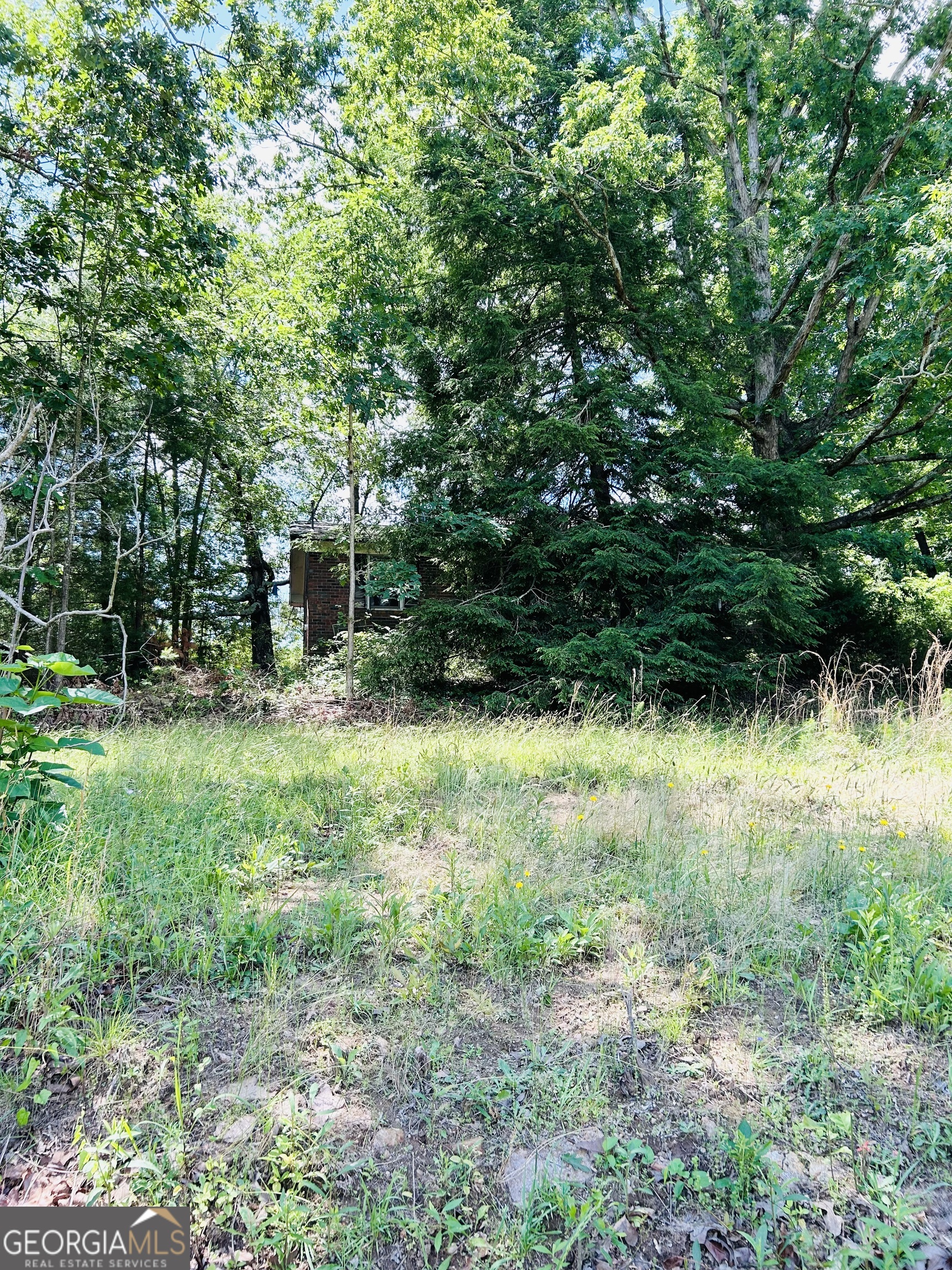 a view of outdoor space with deck and yard