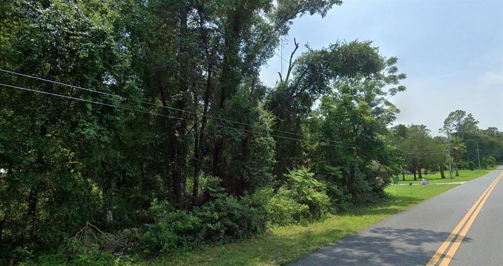 a view of a street with a tree