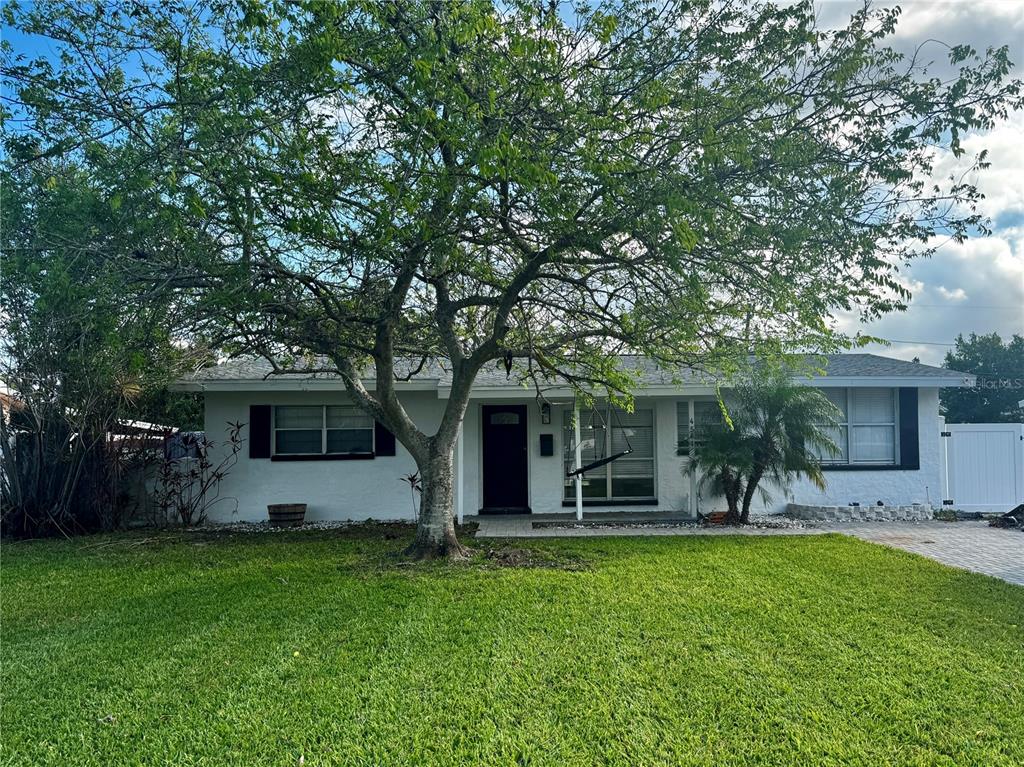 a view of a house with backyard and a tree