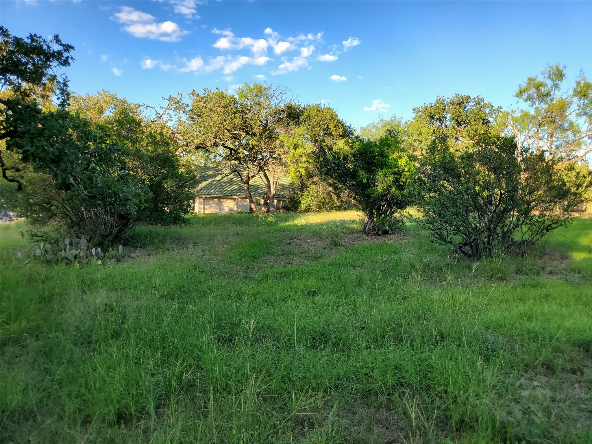 a view of yard with green space