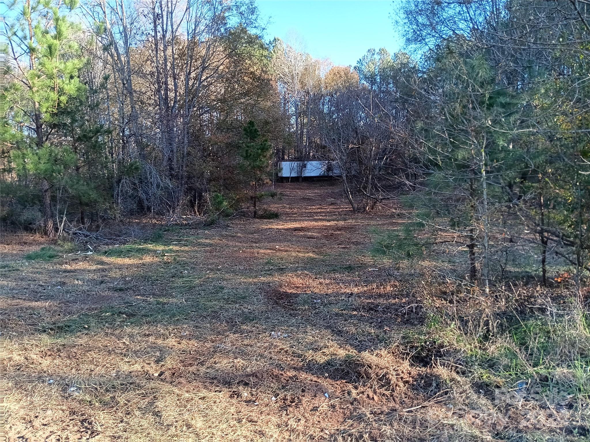 a view of a backyard with large trees