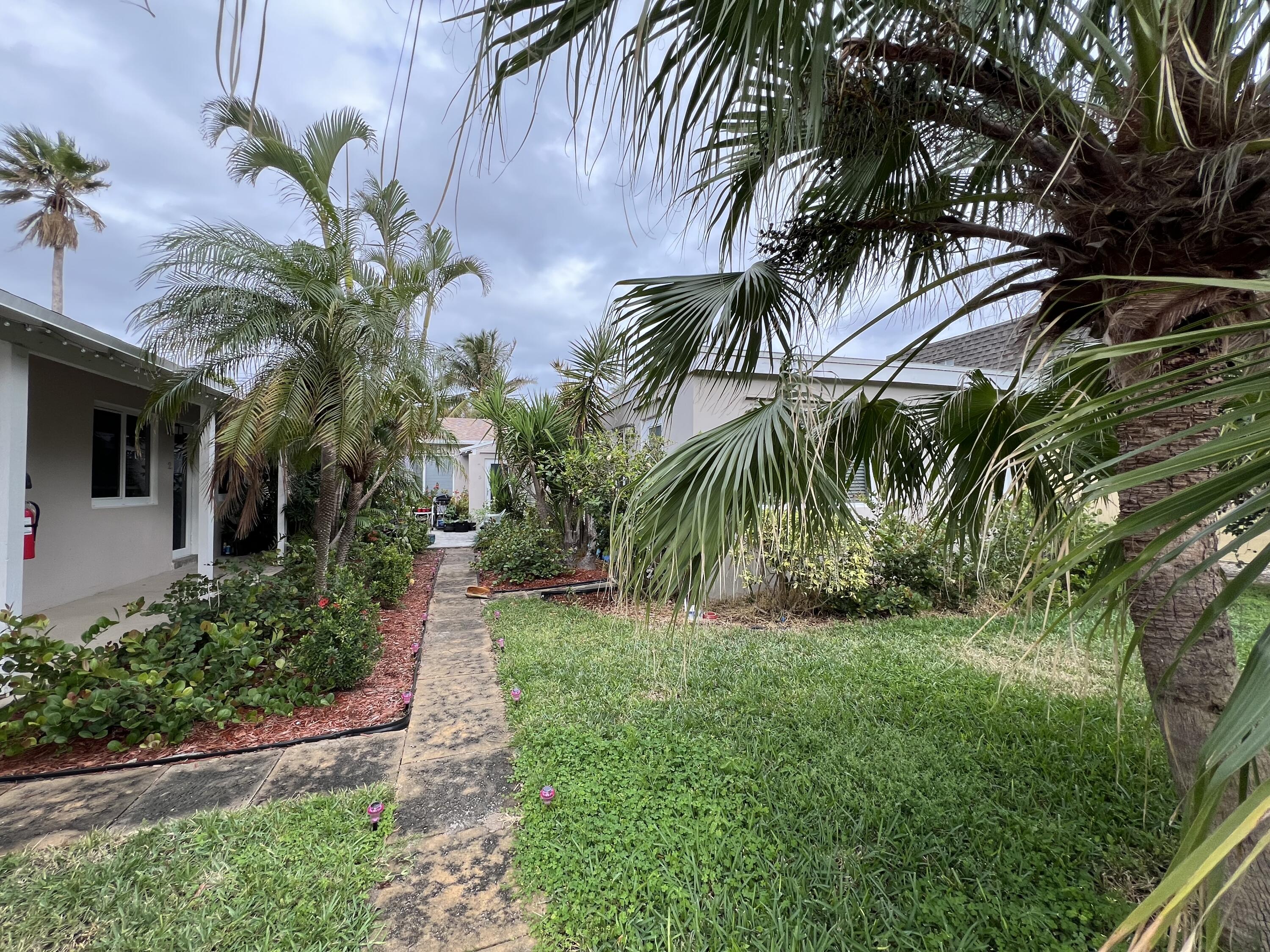 a view of a yard with palm trees