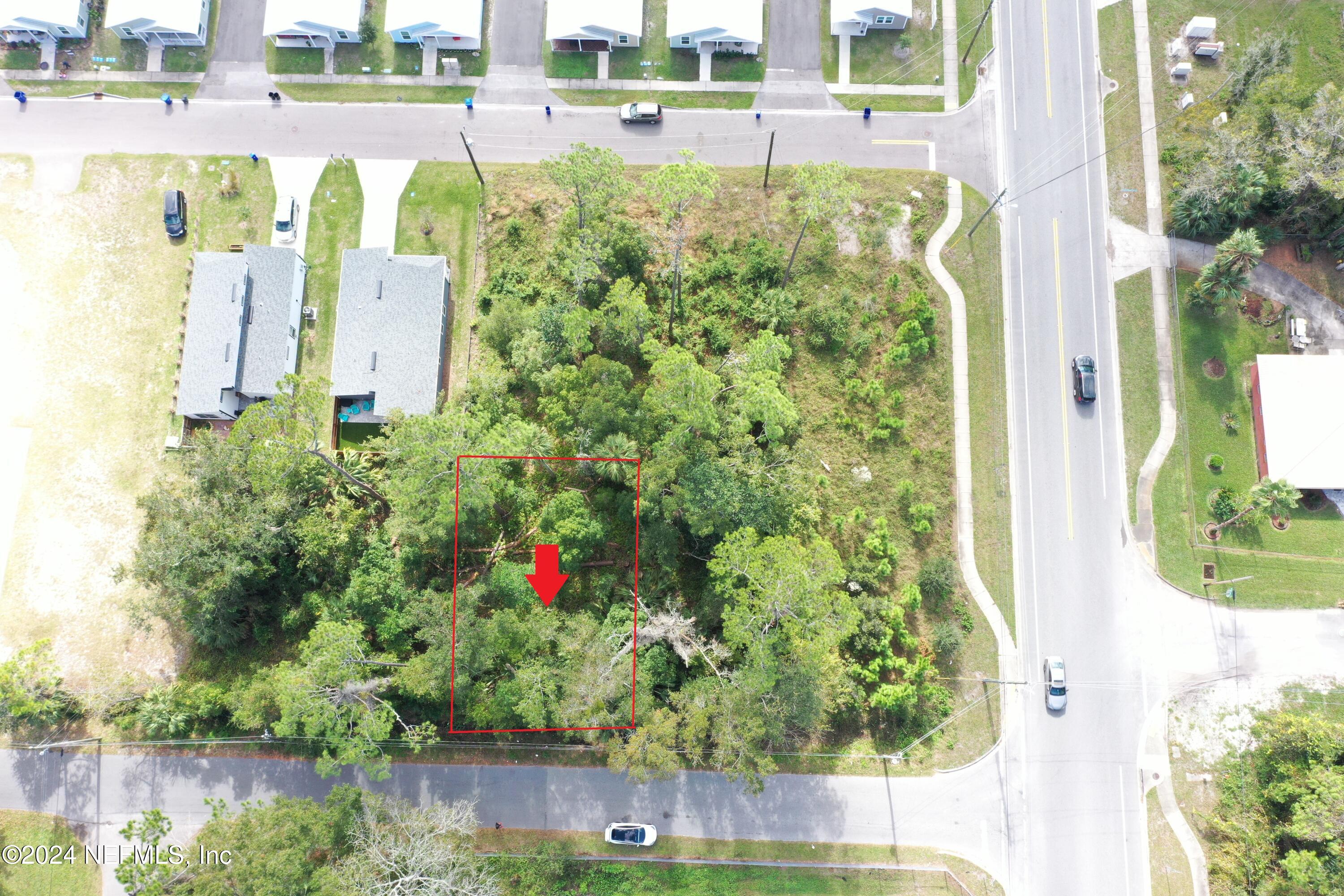 a view of a back yard with plants