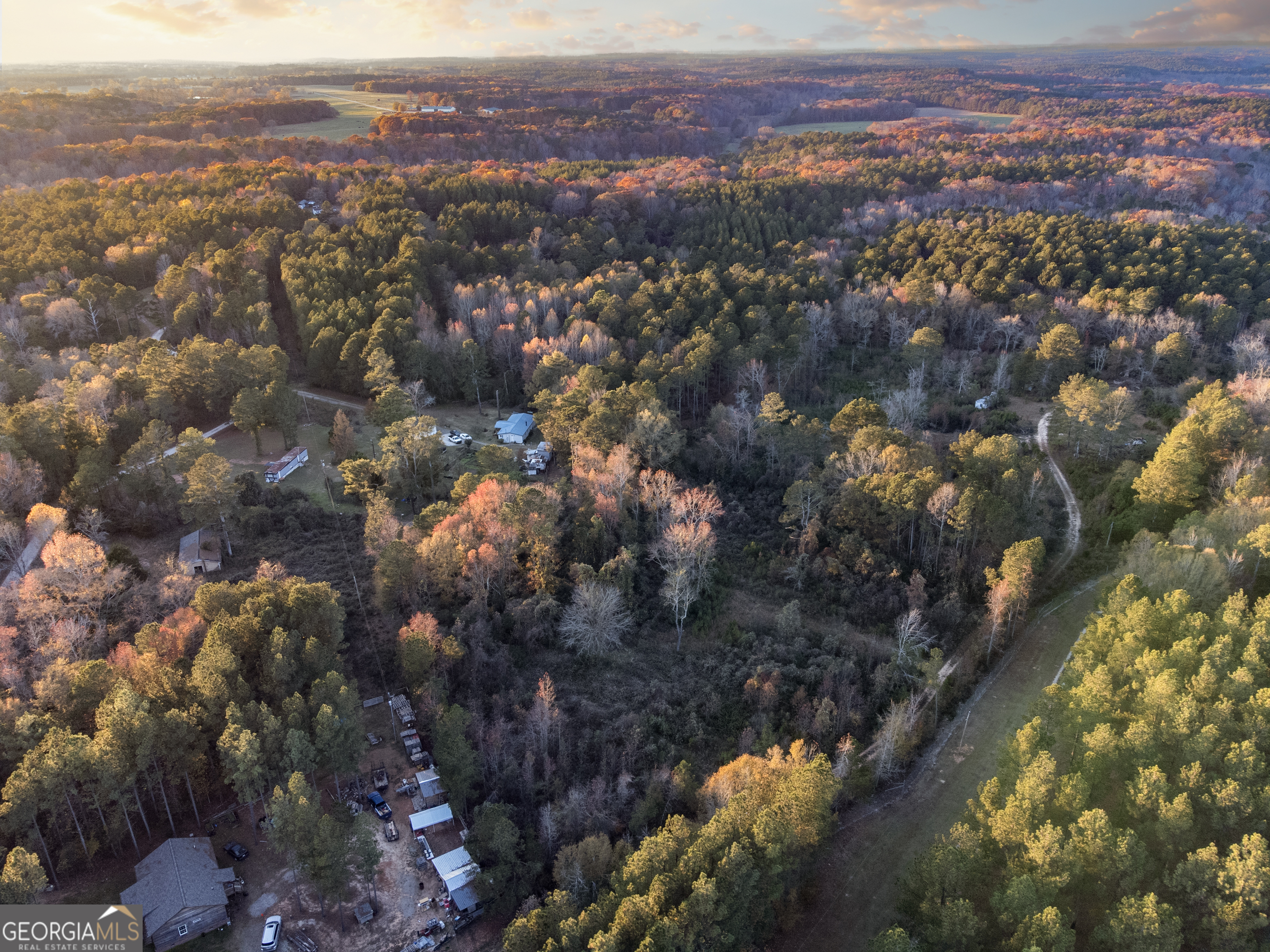 an aerial view of mountain with trees