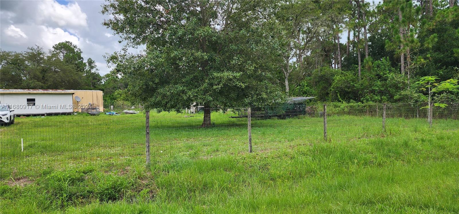 a backyard of a house with plants and large trees