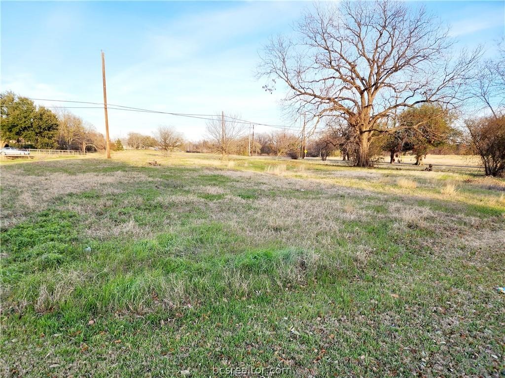 a view of yard with tree