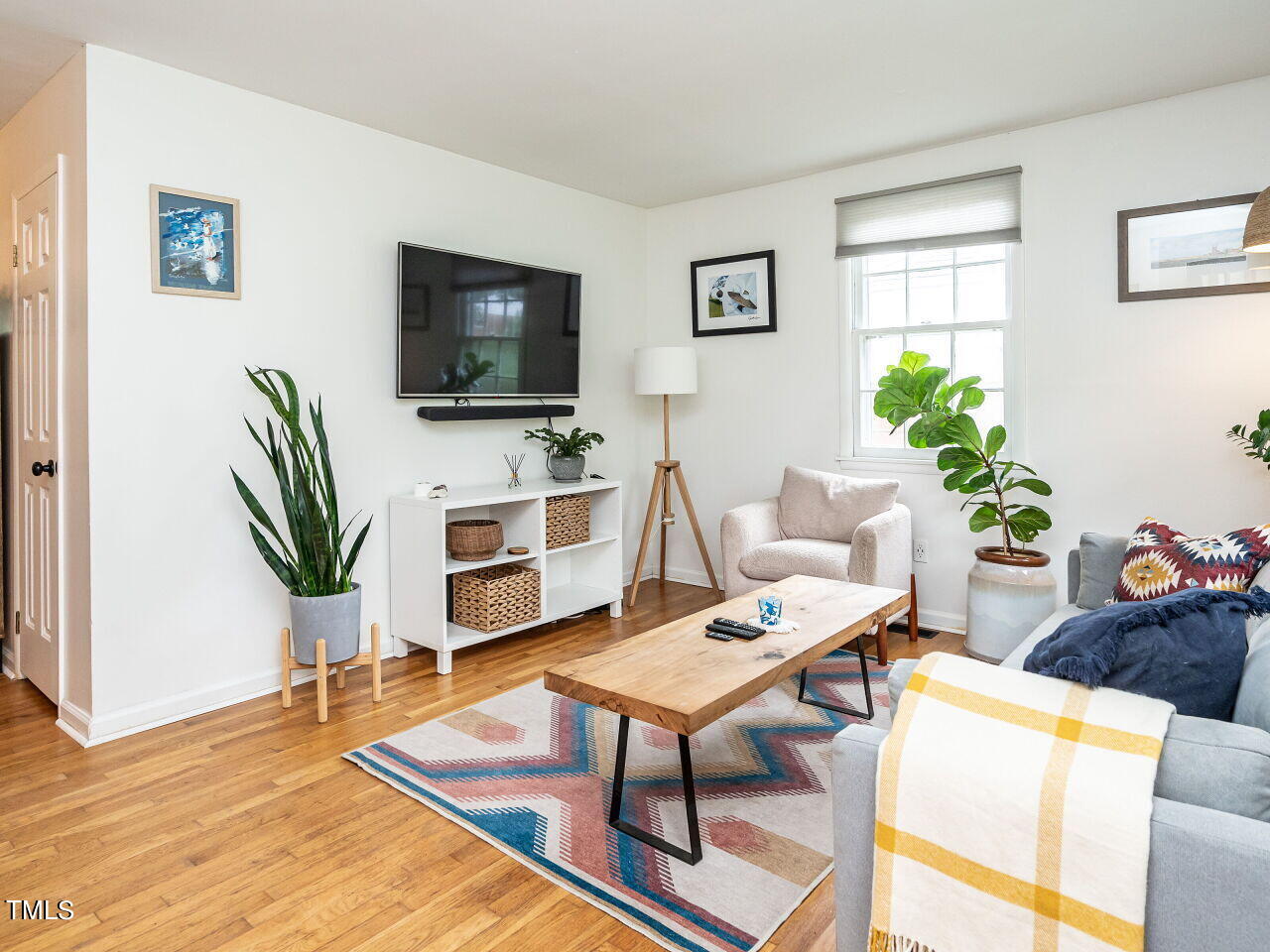 a living room with furniture a flat screen tv and a potted plant