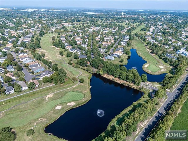 an aerial view of residential houses with outdoor space and trees