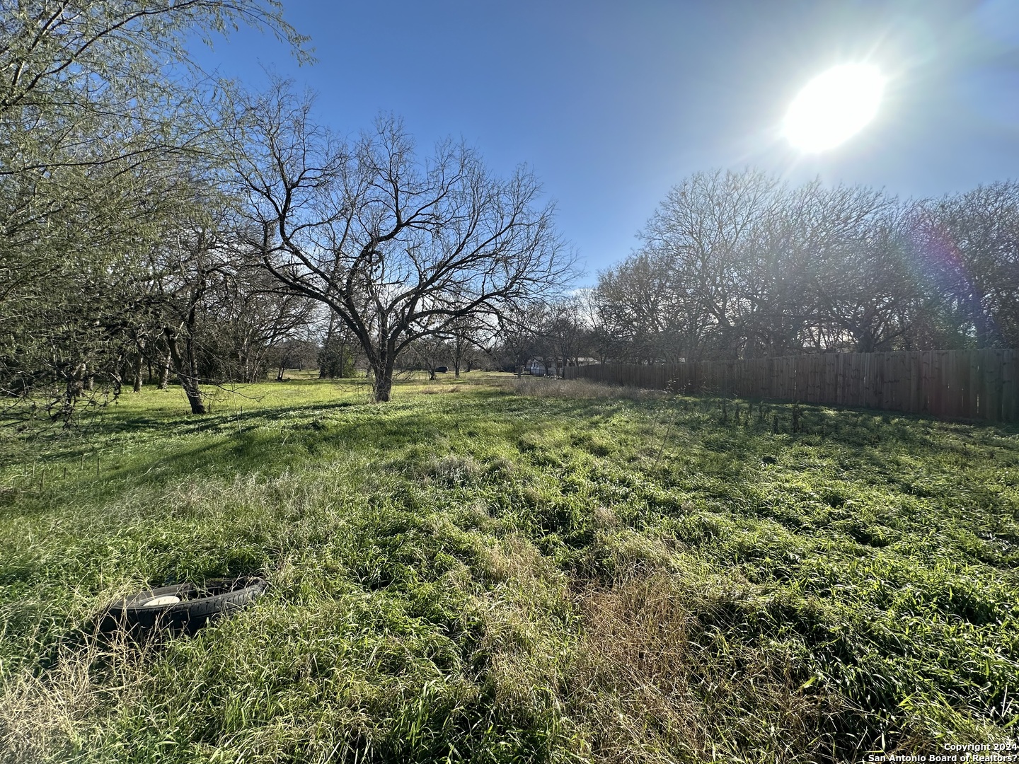 a view of a garden with a tree