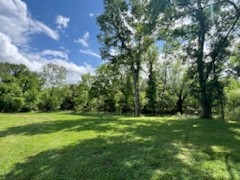 a view of a grassy field with trees