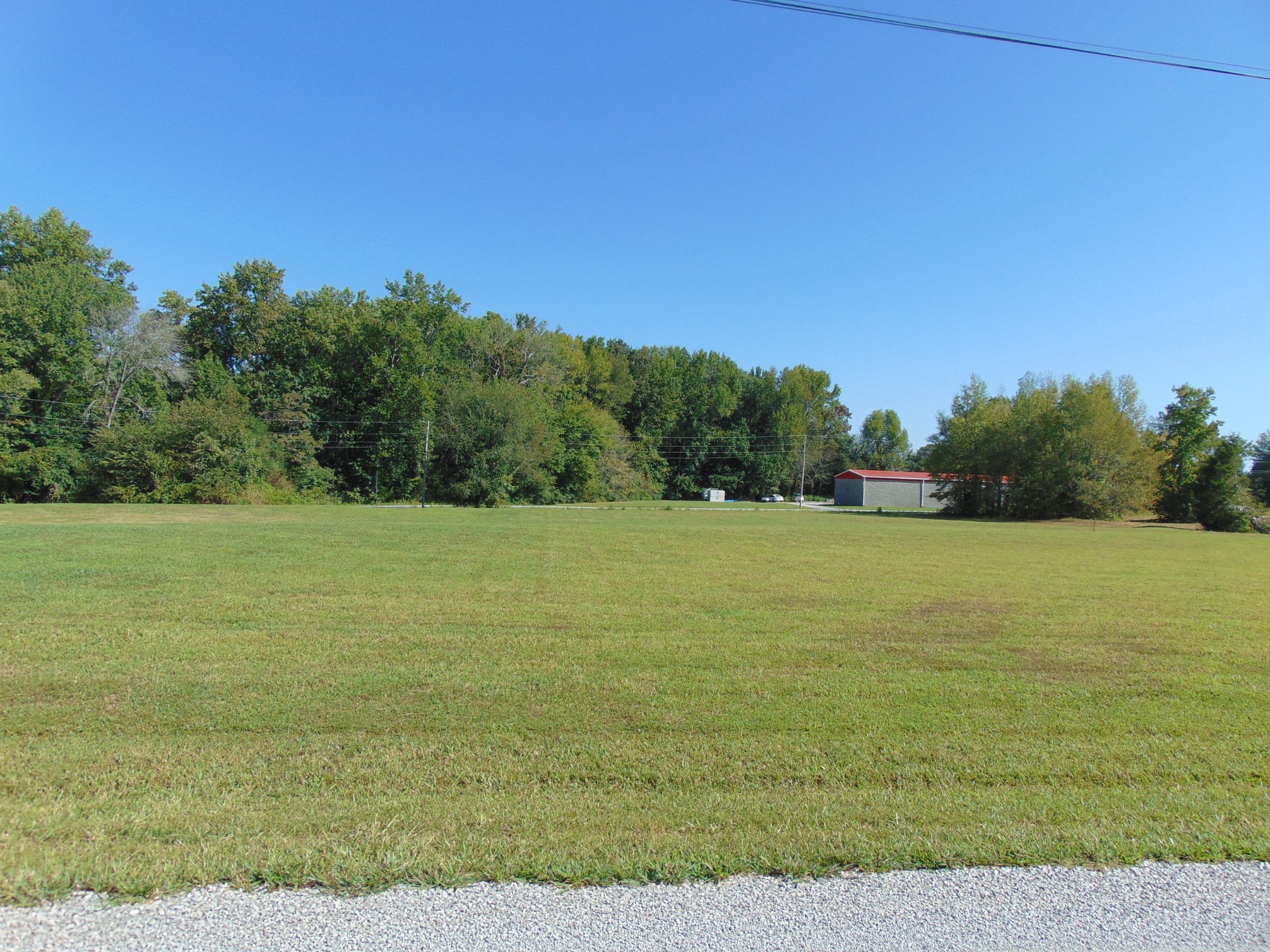 a view of a field with an trees