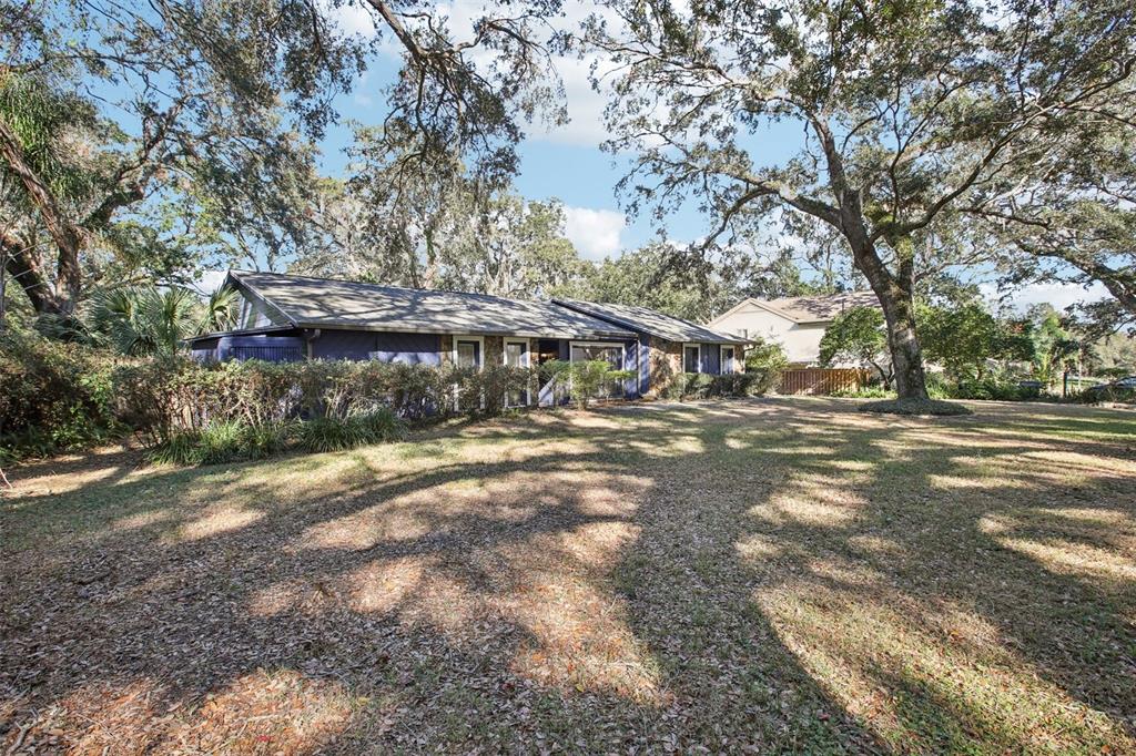 Expansive front lawn