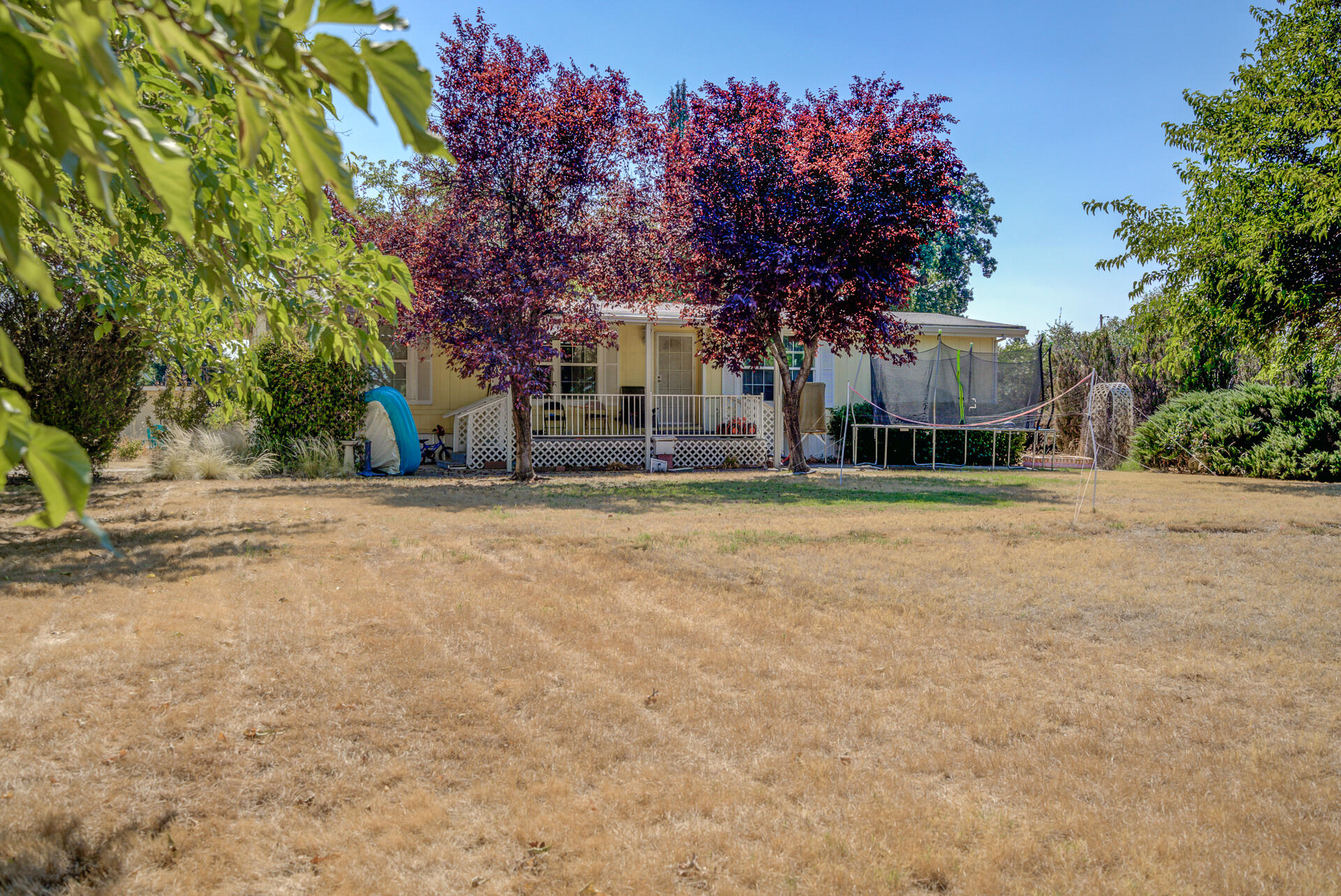 a house with trees in front of it