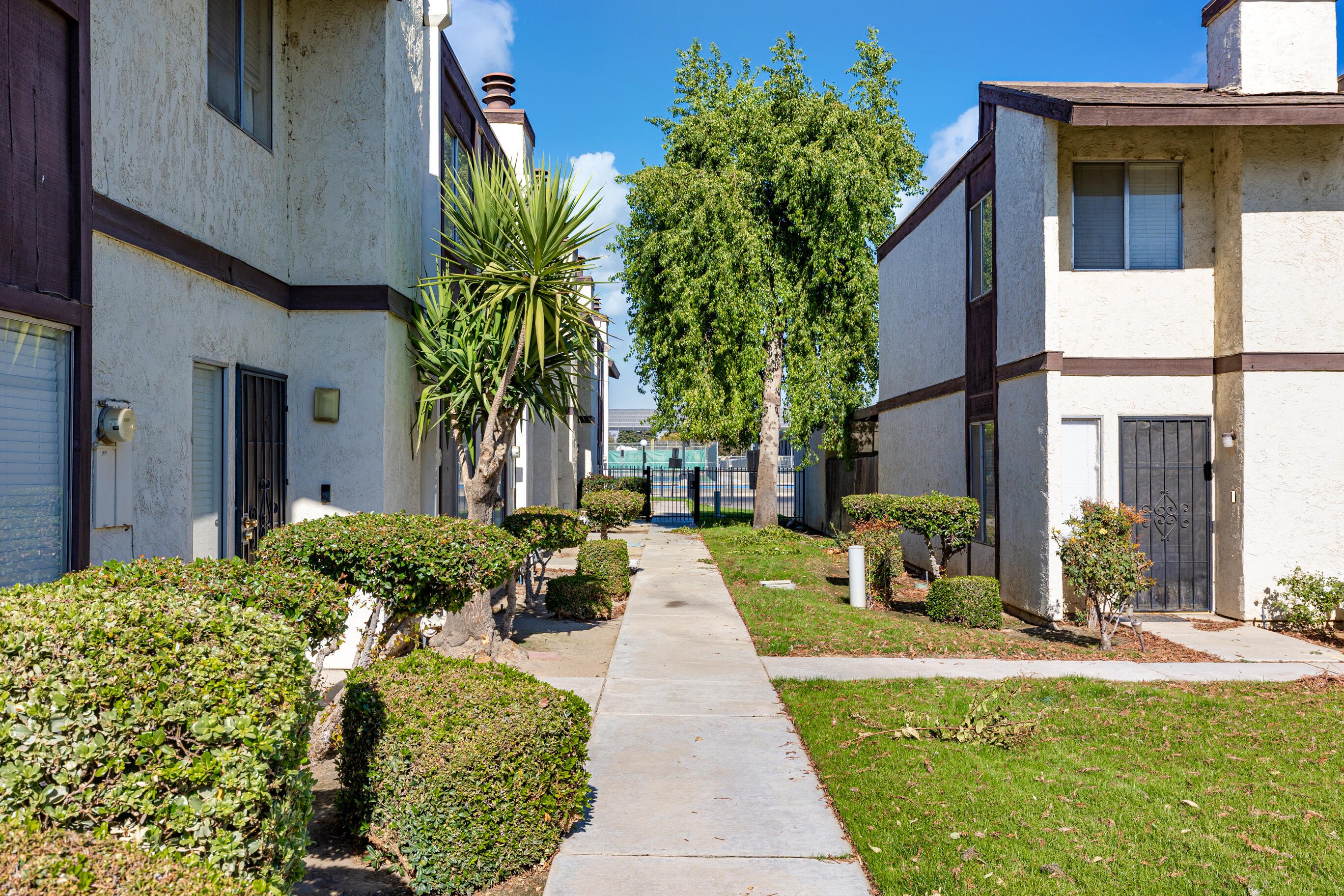 a view of a house with a yard and plants