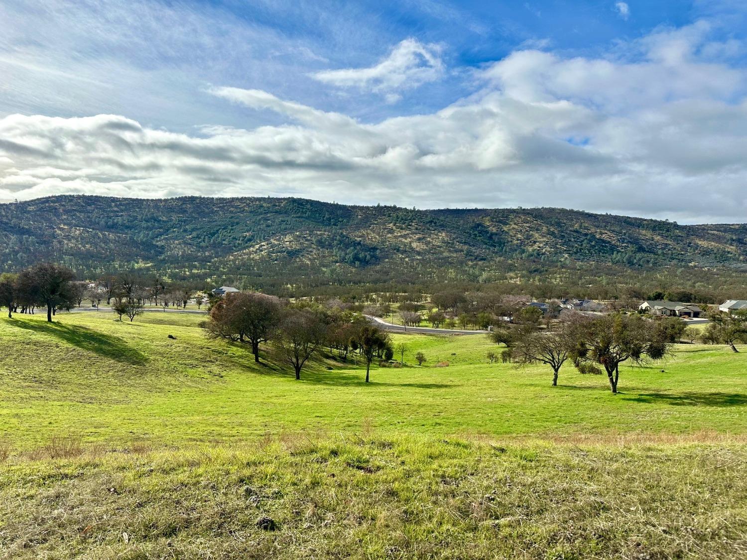 a view of a golf course with a lake