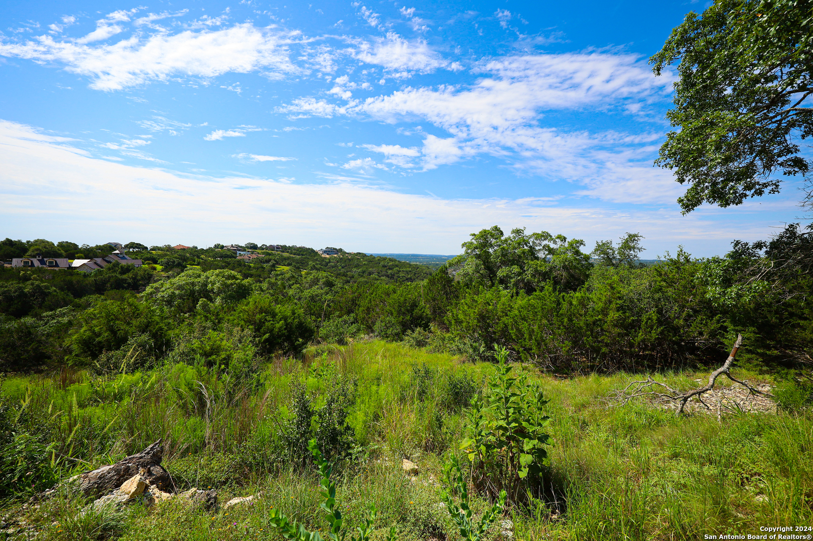 a view of a lush green space