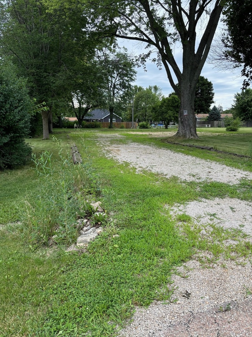 a view of a park with large trees