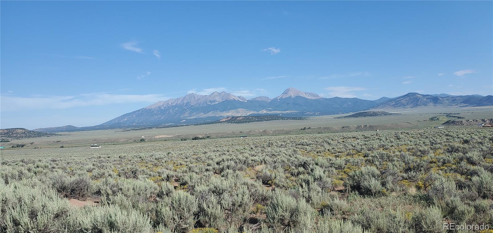 a view of a dry yard with mountain and trees in the background