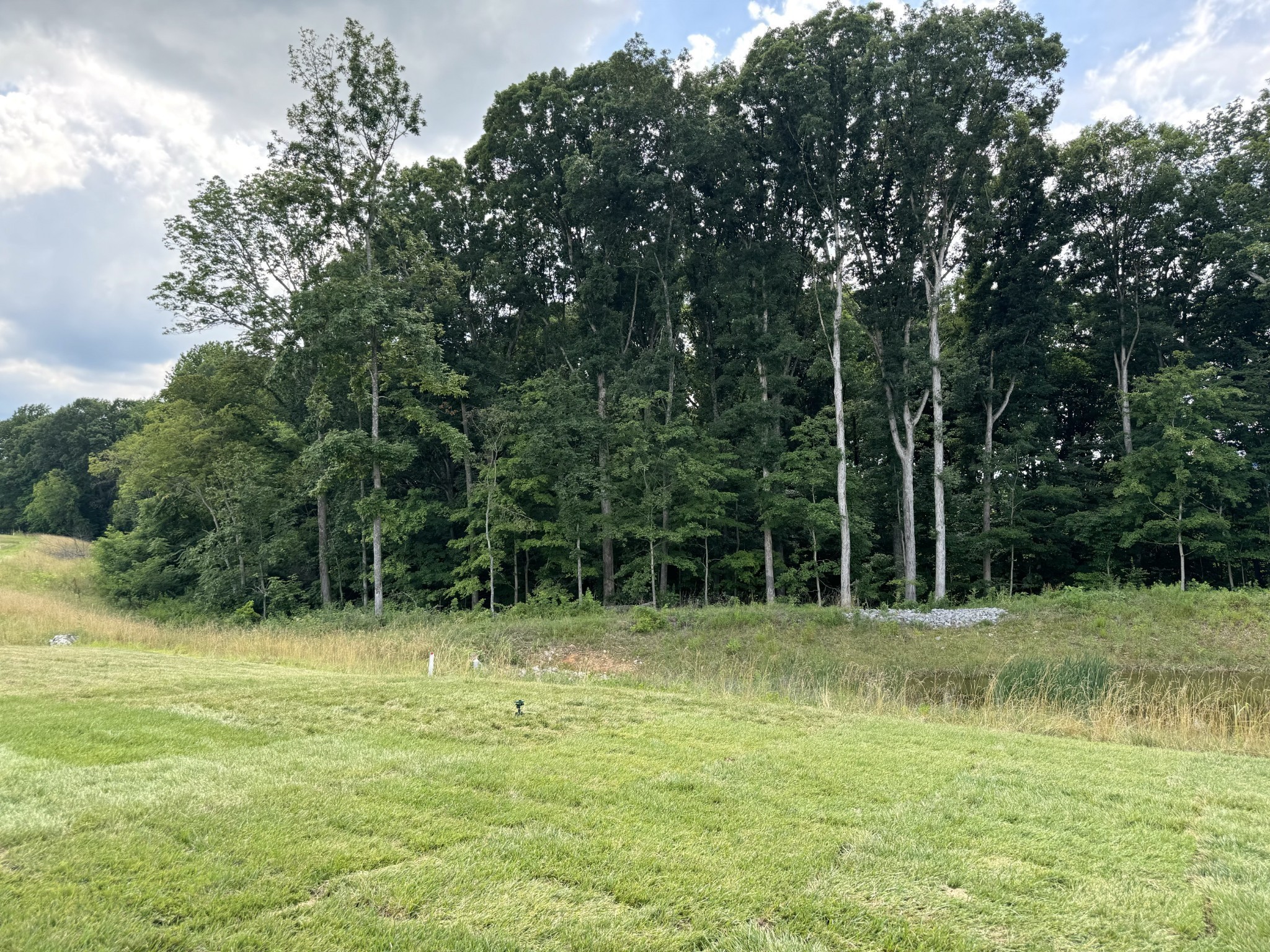 a view of outdoor space with trees all around