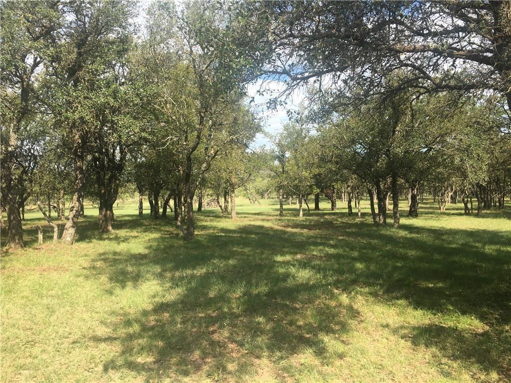 a view of yard with trees