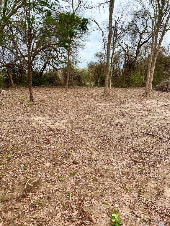 a view of empty room with tree and wooden fence