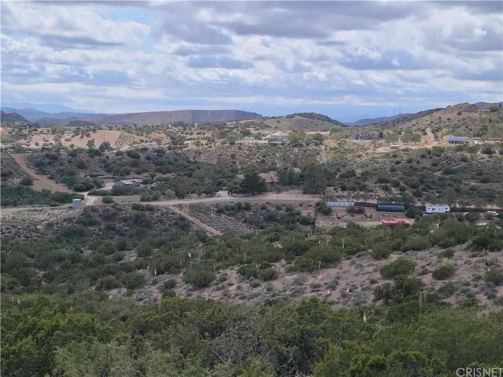 an aerial view of houses covered in trees