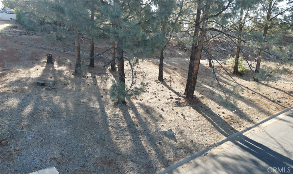 a view of a yard with trees