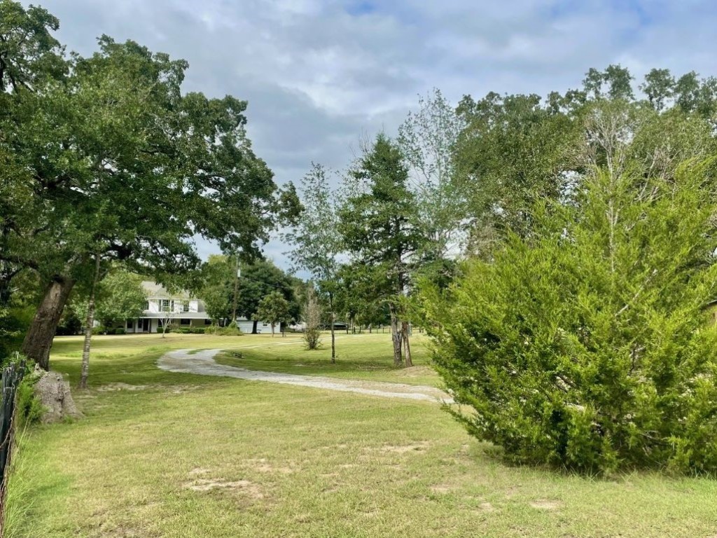 a view of a yard with a house