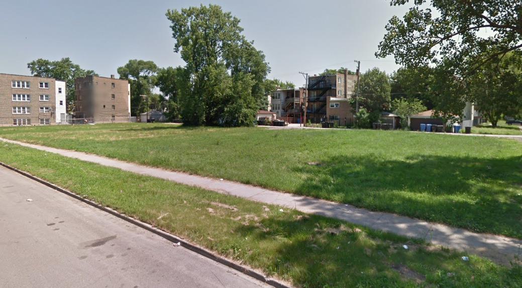 a view of a park with large trees