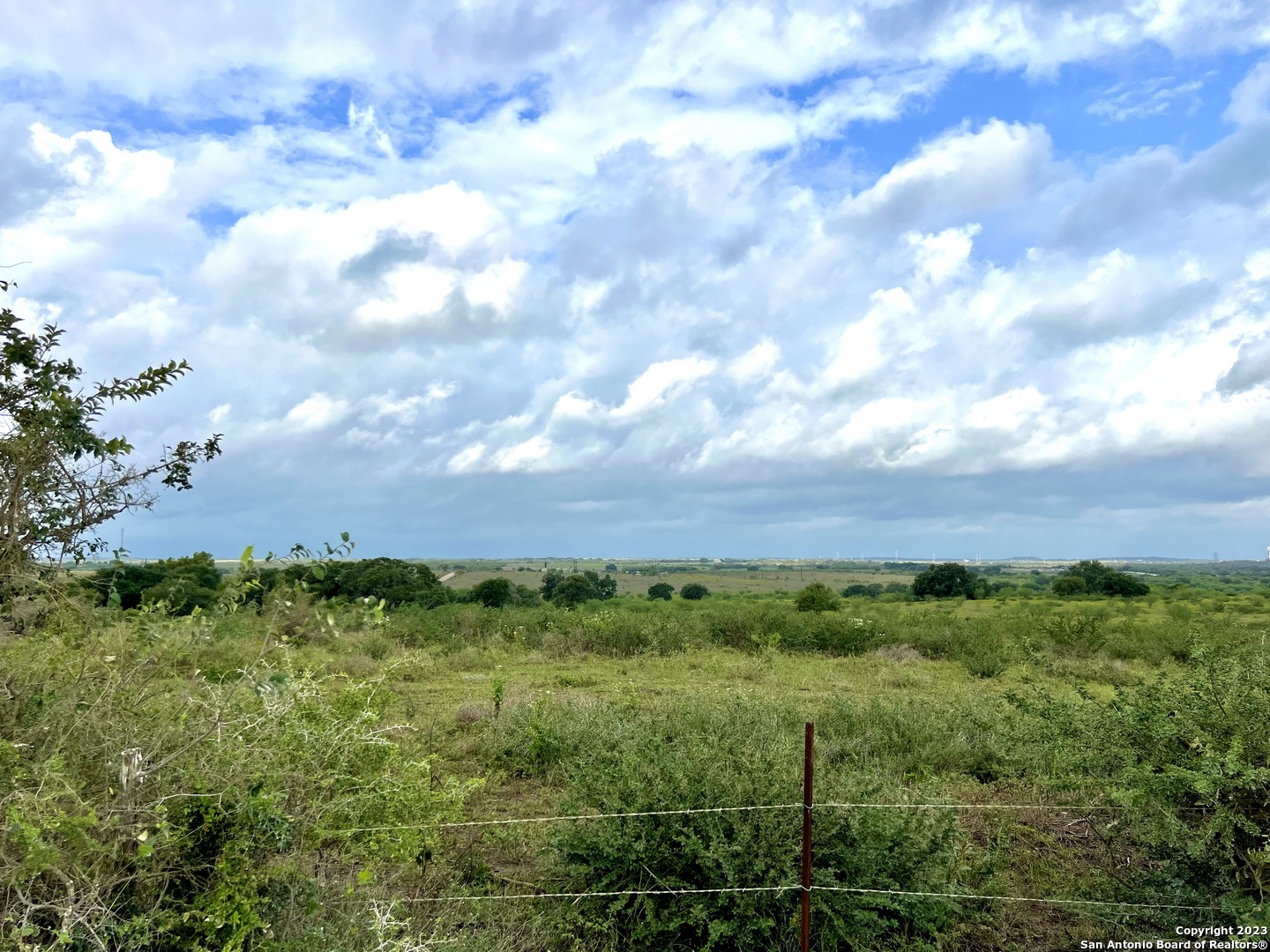 a view of a bunch of trees