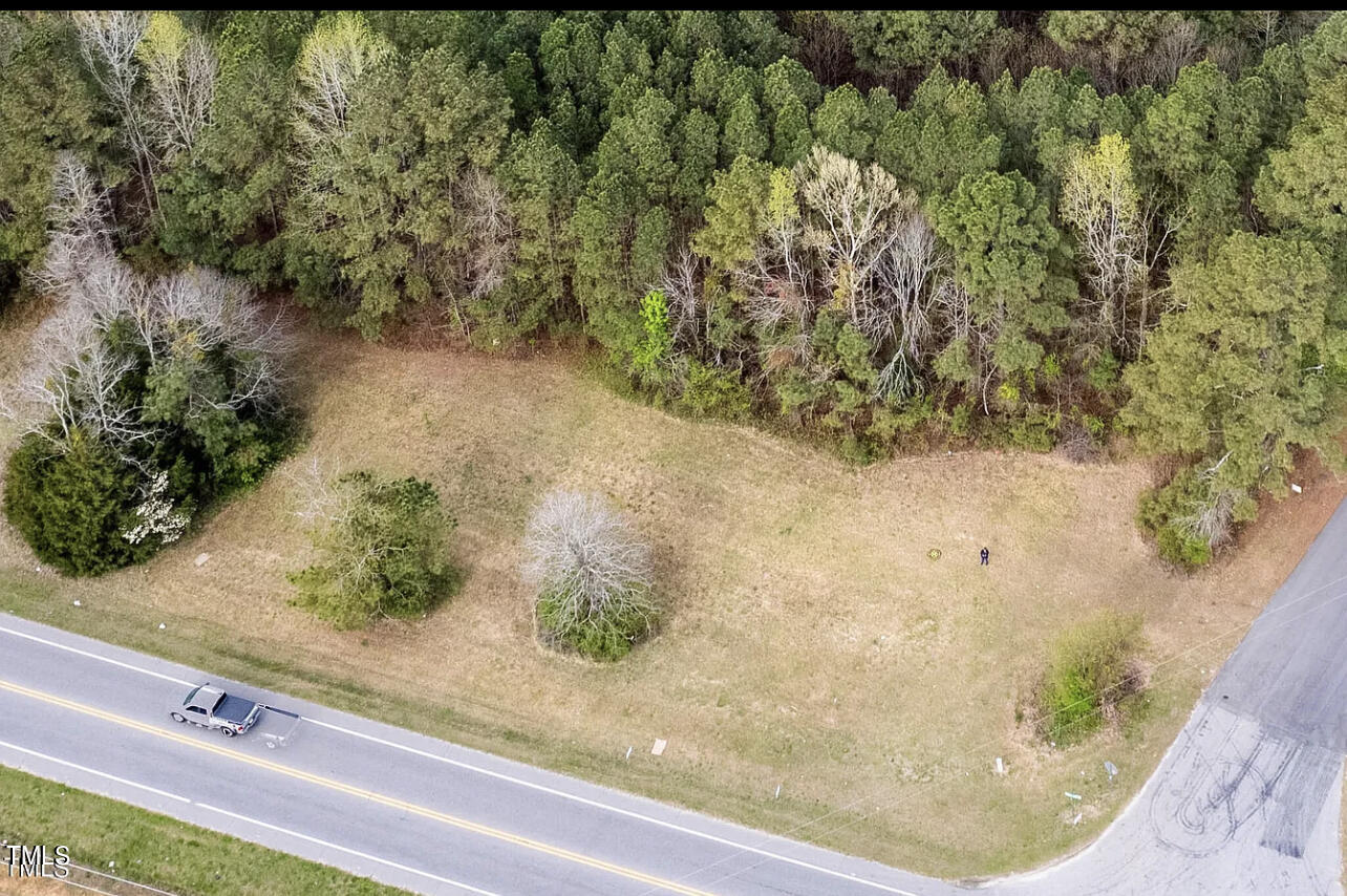 a view of a yard with a plant