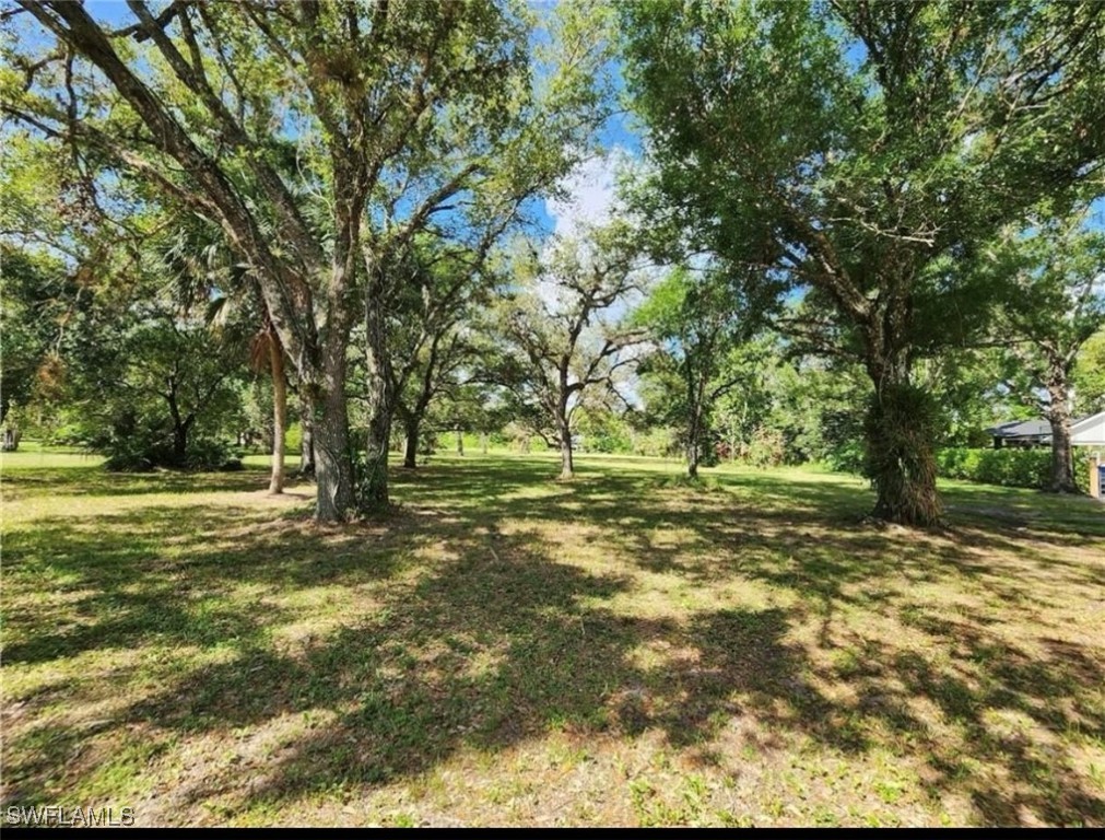 a view of a yard with a tree